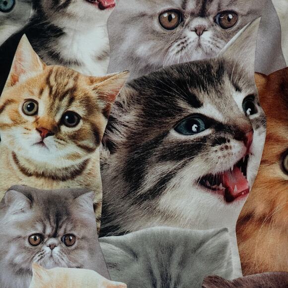 Bioworld Swim Trunks Mens Medium All Over Cat Kitten Print Shorts Mesh Lined - Picture 3 of 11